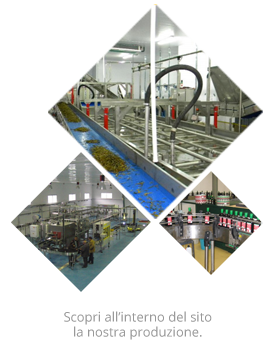 Macchine e linee di imbottigliamento Tecno Team